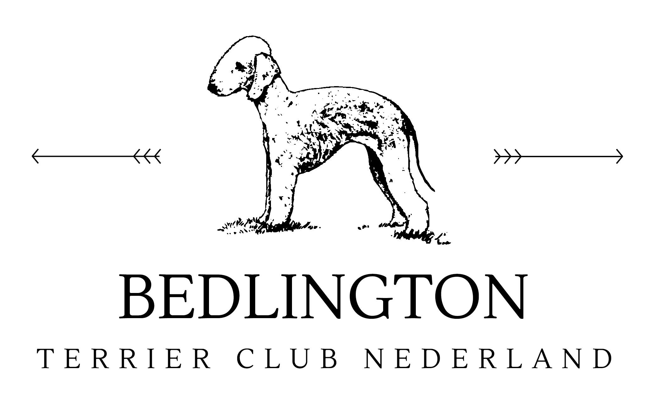 Bedlington Terrier Club